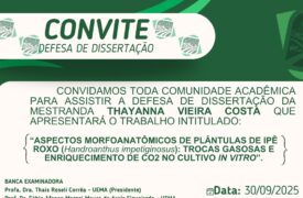 CONVITE DEFESA DISSERTAÇÃO