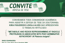 CONVITE DEFESA TESE